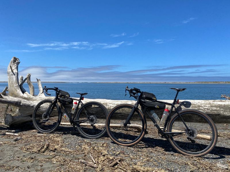 Two bikes leaned against a log on the beach near the ocean